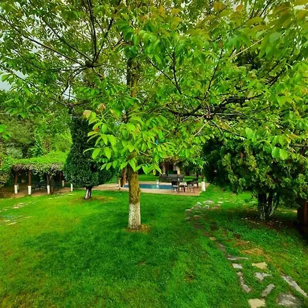 Alex Village Life מלון