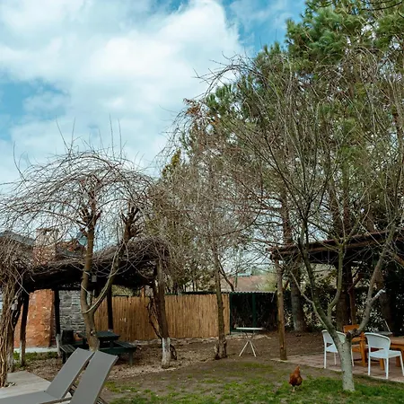 Alex Village Life * קארטפה