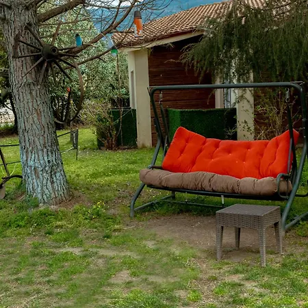 Alex Village Life