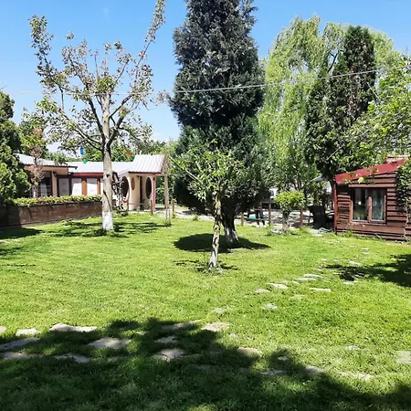 Alex Village Life קארטפה