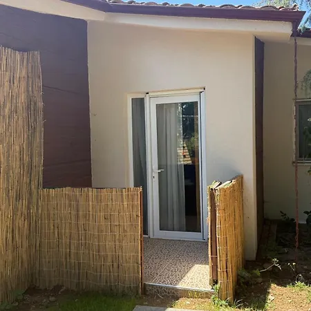 Alex Village Life מלון *