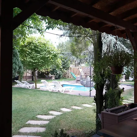 Alex Village Life