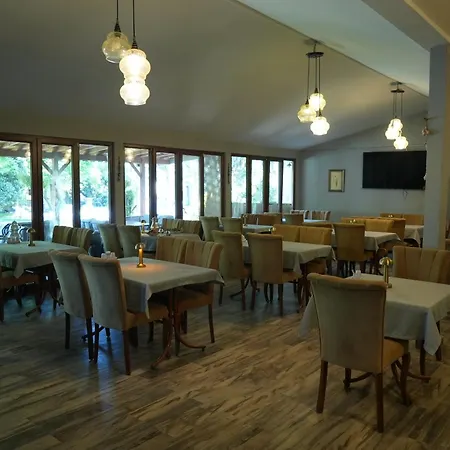 Alex Village Life 카르테페