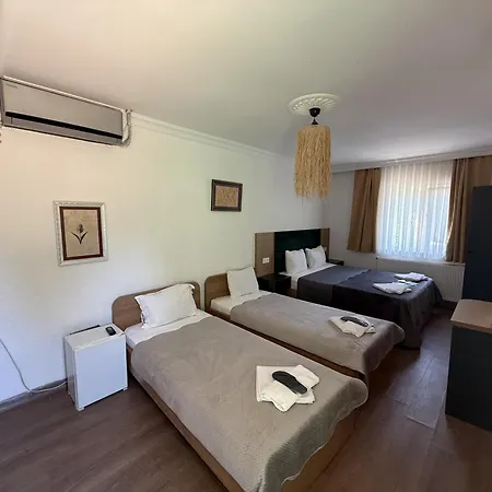 Alex Village Life ホテル