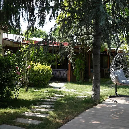 Hotel Alex Village Life *