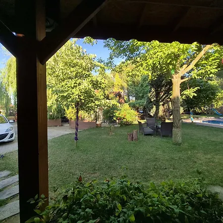 Alex Village Life