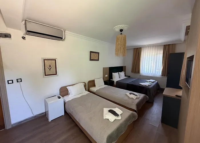 Alex Village Life Hotel